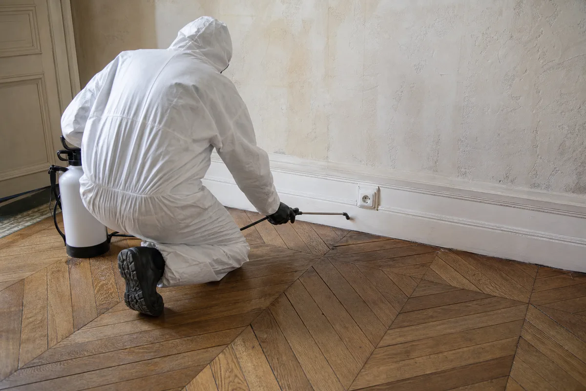 Technicien en tenue de protection appliquant un traitement le long d’une plinthe dans un appartement ancien