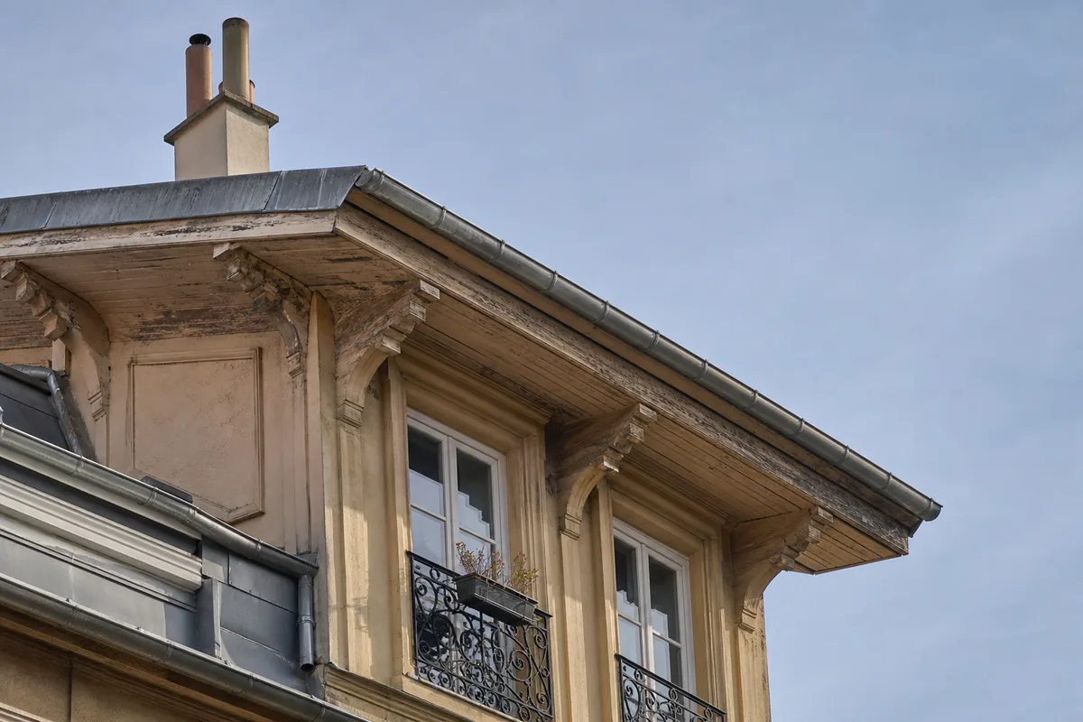 Guepes et frelons a Paris : nid et frelon asiatique en hauteur
