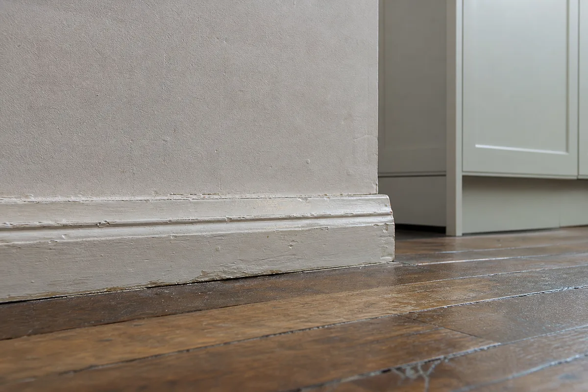 Rongeurs en appartement : rats, souris, degats, risques